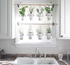 a kitchen sink under a window with potted plants hanging from it's side