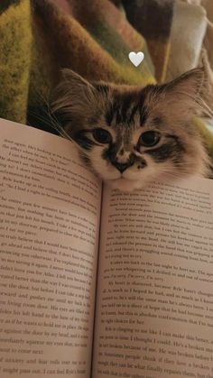 a cat laying on top of an open book with a heart shaped page in the middle