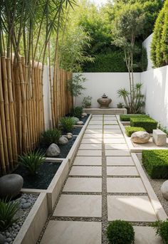 an outdoor garden with bamboo trees and rocks