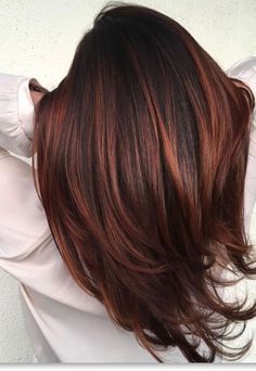 Auburn Red Hair Color, Red Highlights In Brown Hair, Dark Auburn Hair Color, Auburn Red Hair, Auburn Balayage, Brunette Ombre, Auburn Highlights, Highlights Ombre