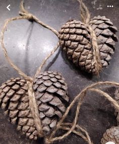 three pine cones tied to twine on top of a table next to some string