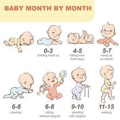 the baby month by month chart shows how many infants are born to their parents