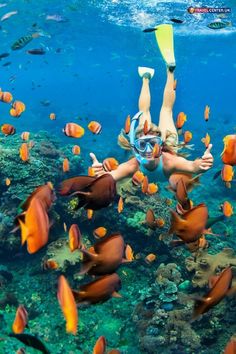 a woman diving in the ocean with lots of fish around her and holding onto a snorkel