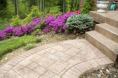 a garden with flowers and steps leading up to the house