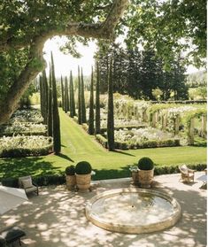 an outdoor garden with lots of trees and lawn furniture