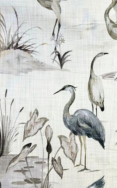 an image of birds in the water with plants