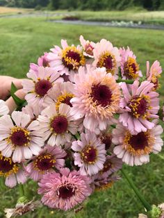 a person holding a bouquet of flowers in their hand on the grass near some water