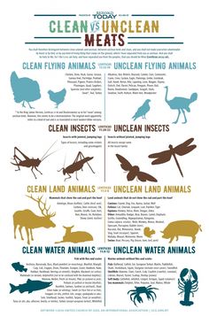 an info sheet with different types of animals and their names on it, including the words clean