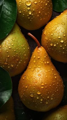 several pears with green leaves and water droplets on them, sitting next to each other