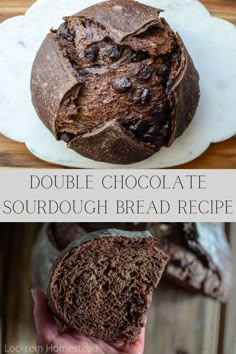 Double chocolate sourdough bread is a fun twist on a tried and true staple. Combing two favorites, sourdough and chocolate, you can’t go wrong! You’ll love this soft, chewy sourdough bread made with cocoa powder along with bursts of chocolatey goodness from the added chocolate chips. This indulgent bread has a rich chocolate flavor along with the benefits of fermented sourdough bread. Chocolate Chunk Sourdough Bread, Bread Recipes Homemade Sourdough, Littlespoonfarm Sourdough Brownies, Bucket Bread Recipe, Great Bread Recipes, Little Spoon Farm Sourdough Bread, Sourdough Bread Chocolate Chip, Chocolate Sourdough Discard Bread, Choc Sourdough Bread