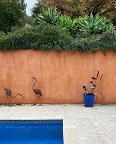 two flamingos are painted on the side of a wall next to a swimming pool