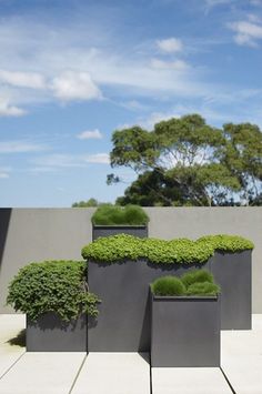 three black planters with green plants in them sitting on the concrete floor next to a wall