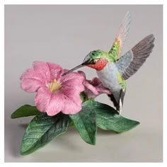 a hummingbird sitting on top of a pink flower next to green leaves and flowers