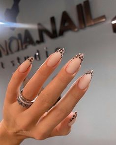 Get sleek and wild with this sophisticated yet playful leopard nail design for fall 2024. 🖤 A must-try trend for anyone who loves to keep their nails looking chic and stylish this season! Perfect for all your cozy fall outfits. 🍂✨ #NailTrends2024 #LeopardNails #FallVibes French Tip Nail Designs