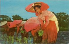 a woman in a pink dress and straw hat is standing next to some horses with grass on their backs