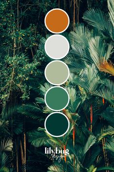 Tropical Forest Colour Palette by Lilybug Graphic Design at www.lilybugdesign.co.nz and on Etsy. Free prints, SVG's, colour palettes and activities! Graphic Design Services as well. Check out our Etsy store! Forest Green Branding Palette, Green Colour Interior Design, Tropical Interior Color Palette, Tropical Wedding Colour Palette, Tropical Color Scheme Colour Palettes, Green Paletes, Salon Colour Palette, Most Popular Color Palettes, Tropic Color Palette