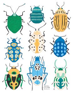 six different types of bugs on white paper with blue, green and yellow dots in the middle