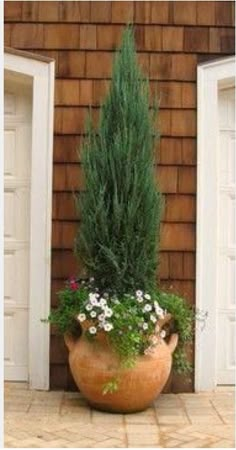 a large potted plant sitting in front of two doors