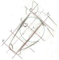 a drawing of a horse's head is shown with lines drawn across the face