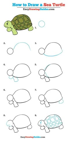 how to draw a sea turtle step by step instructions for kids and beginners with pictures