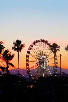 the ferris wheel is lit up at night with palm trees and mountains in the background