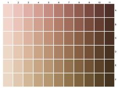 the color chart for different shades of brown