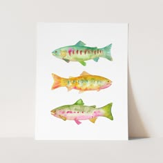 three fish are shown in watercolors on a white background, one is green and the other is pink