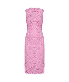 Dolce & Gabbana Dress | italist Chic Sleeveless Dress, Pink Summer Dresses For Occasion Wear, Pink Summer Dresses For Occasions, Dolce Gabbana Dress, Stefano Gabbana, Feminine Chic, Spring Summer 2024, Italian Style, Luxury Retail