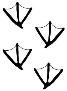 four different types of arrows drawn in black ink