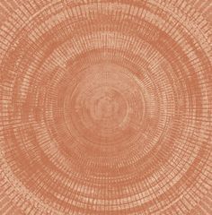 an orange wood texture with circles and lines in the center, as if it were cut from a tree trunk