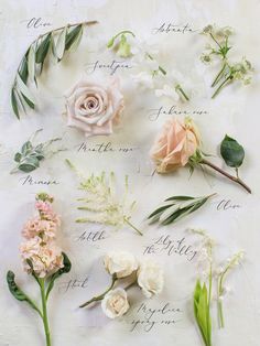 flowers are arranged on a sheet of paper with writing in the middle and below them