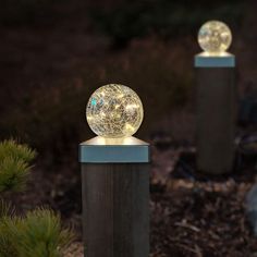 two lights that are sitting on top of some wood posts in the grass and dirt