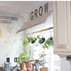 several potted plants are hanging from the window sill in front of a kitchen sink