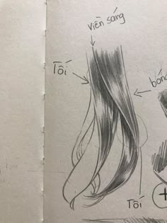 a drawing of a woman's long hair with the words to her side and top