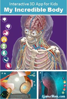 Interactive 3D app for kids - my incredible body Lucy Calkins, Educational Apps For Kids, Human Body Unit, Human Body Anatomy, Human Body Systems, 3d Pictures, Kids Imagination, E Mc2