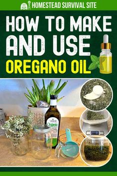 Organic Oregano Oil, Benefits Of Oregano, Oregano Oil Benefits, Medicinal Oils, Herbal Remedies Recipes, Oregano Essential Oil, Homemade Oil, Oregano Oil