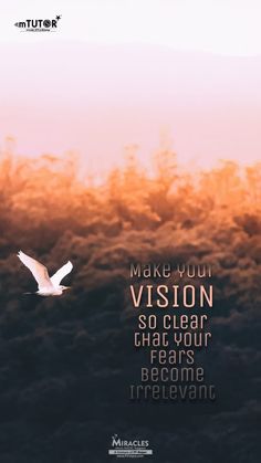 a white bird flying in the sky with a quote above it that reads make your vision so clear that your fear is become irreguling