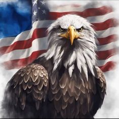 an eagle with the american flag in the background