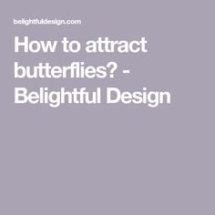 the words how to attract butterflies - belightful design on a gray background with white lettering