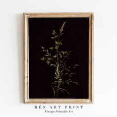 a painting hanging on the wall in front of a white wall with a black background