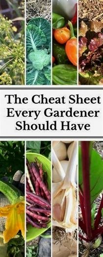 the great sheet every gardener should have to know how to use it in their garden