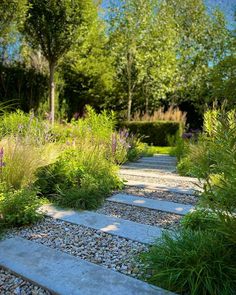 a stone path in the middle of a garden