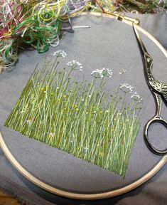 a pair of scissors sitting on top of a piece of fabric next to some grass