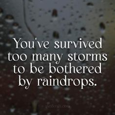 the words you've survived too many storms to be bothered by raindrops