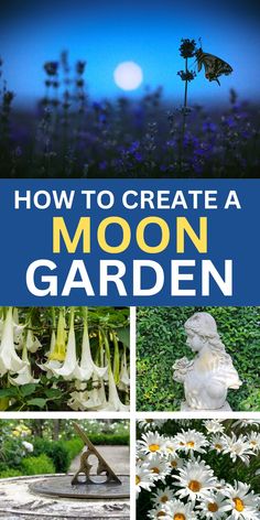 How to Create a Moon Garden: Gardening Ideas - Picture of Moon, Angel's Trumpet, Statue, Sundial, Shasta Daisies Flower Garden Against House, Practical Magic Garden Layout, Witchy Garden Design, Themed Garden Ideas, Moon Gardens At Night, Moon Garden Ideas Backyards, Zen Outdoor Garden, Witches Garden Design, Types Of Garden Styles