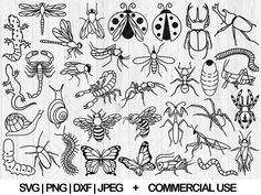 some bugs and insects are drawn in black ink on a white background with the words svg