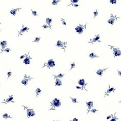 blue and white flowers on a white background