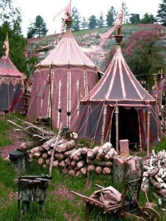 several tents are set up in the grass with logs stacked next to them and trees behind them