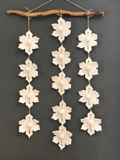 a group of white flowers hanging from a wooden stick on a wall in front of a black background