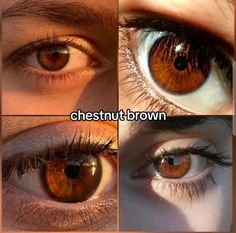 Brown Eyes Aesthetic, Eyes Speak, Beautiful Eyes Color, Eye Quotes, Amber Eyes, Novel Characters, Aesthetic Eyes